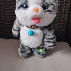 Kot szary powtarzający głos chodzi i gra piosenki